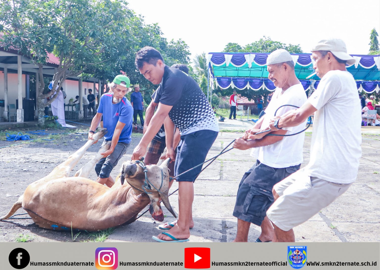 momen-idul-adha-smk-negeri-2-kota-ternate-kurbankan-lima-ekor-sapi